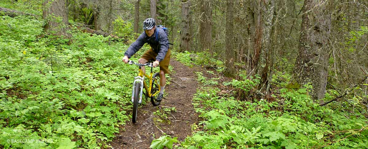 Man mountain biking through wooded trail