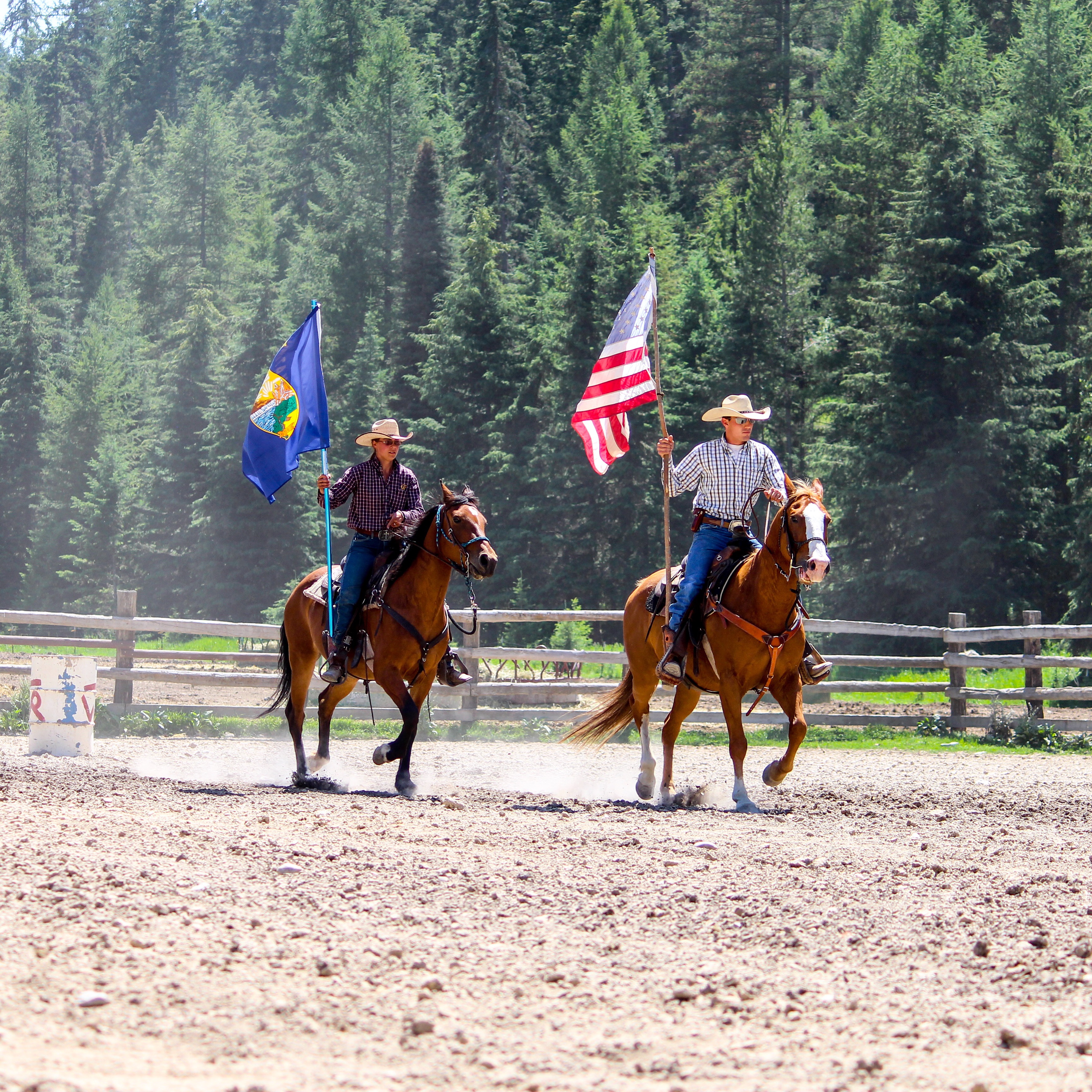 riders on horses with flags