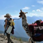Women and Llama hiking in mountains