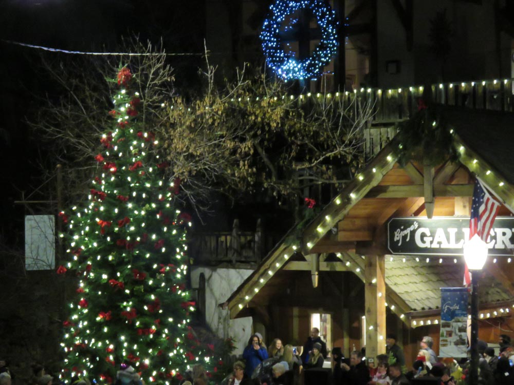 Large Christmas Tree with Lights