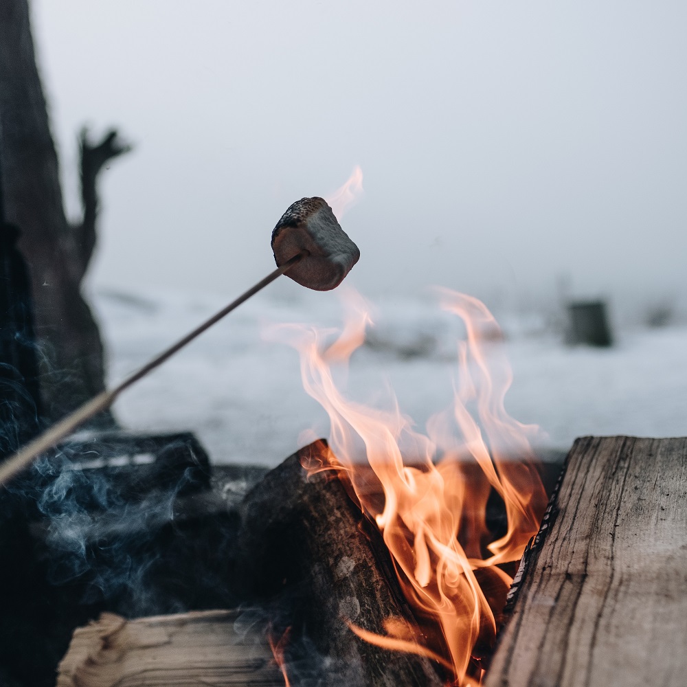 Bonfire with marshmallow roasting