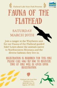 Montana State Parks and Flathead Lake State Park invites the public to join a ranger at the Wayfarers unit for our Fauna of the Flathead guided hike! Learn about the animals native to Northwestern Montana and the diverse habitats they live in.  This hike is about 1 mile in length and will be 1 ½ hours in duration. Bring water and wear sturdy shoes appropriate for spring conditions.  Registration is required for this hike. Please call (406) 837-3041 to register. Time of the hike will be given upon registration.  