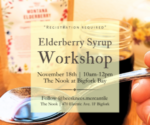 Elderberry Syrup Workshop at The Nook
