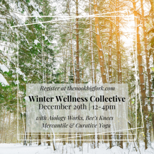 Winter WEllness Collective at the Nook