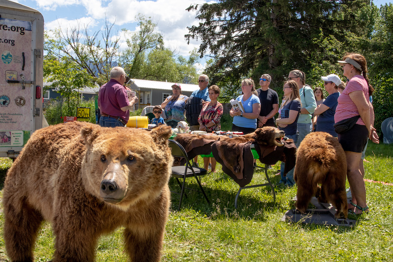 Bear Fair at Swan River Community Hall in Bigfork