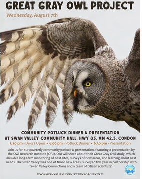Great Gray Owl Presentation and Pot Luck Dinner at Swan Valley Condon Hall