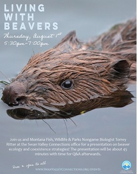 Living with Beavers Presentation at Swan Valley Connections