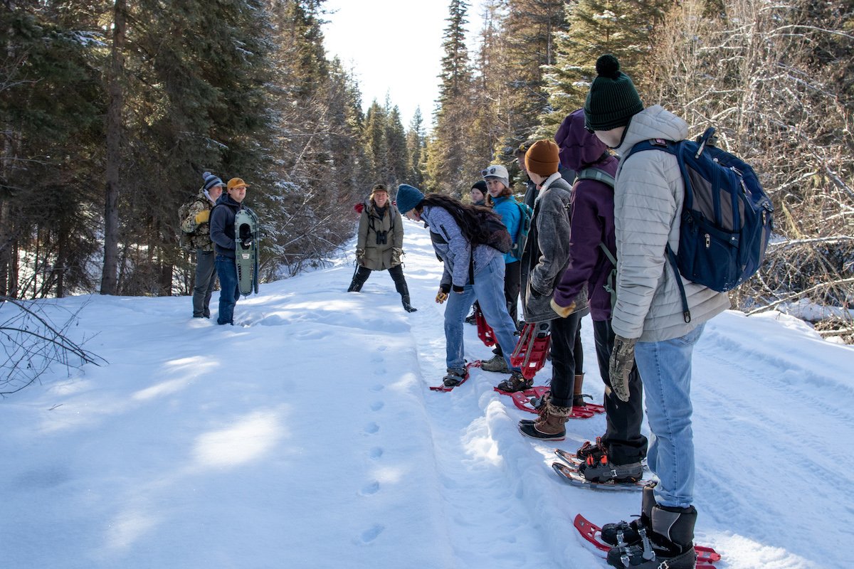 wildlife Tracks and Signs Class with Swan Valley connections