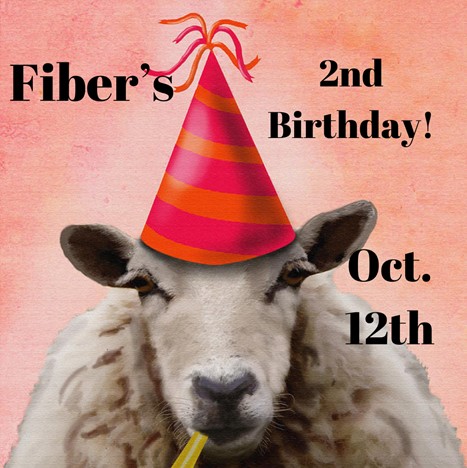 Fiber LLC 2nd Birthday party