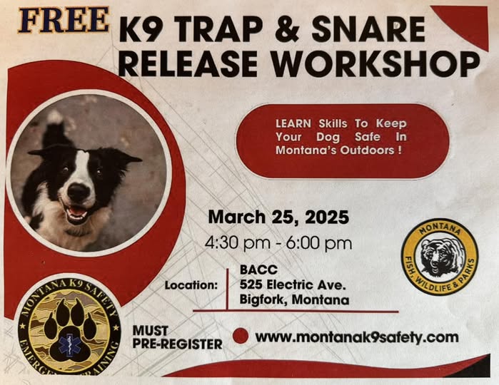 K9 Trap & Snare Release Workshop at BACC