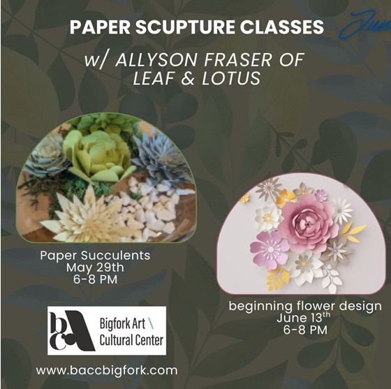 Art Class at BACC Paper Succulent Creations