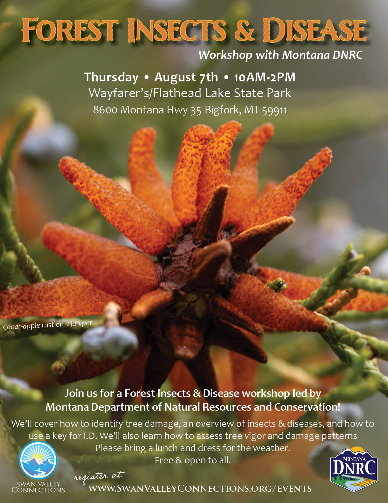 Forest, Insects and Disease Workshop at Wayfarers Unit