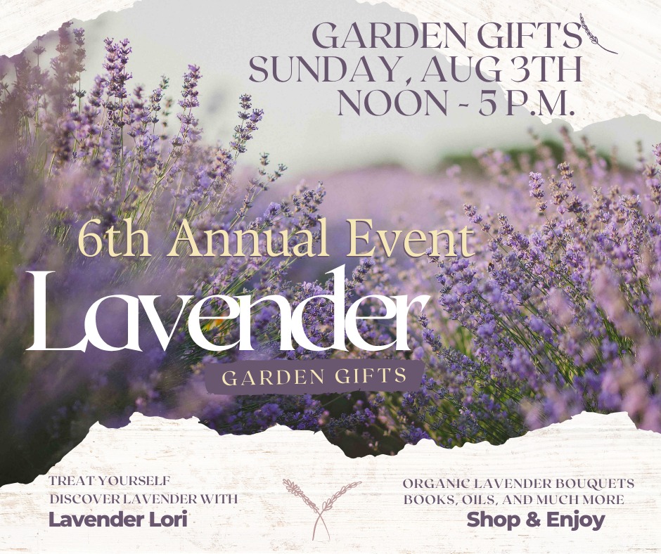 Woods Bay Wine Annual Lavendar Event
