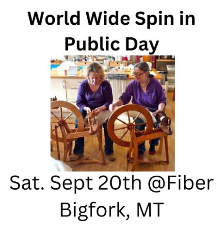 Worldwide spin in Public Day at Fiber, LLC