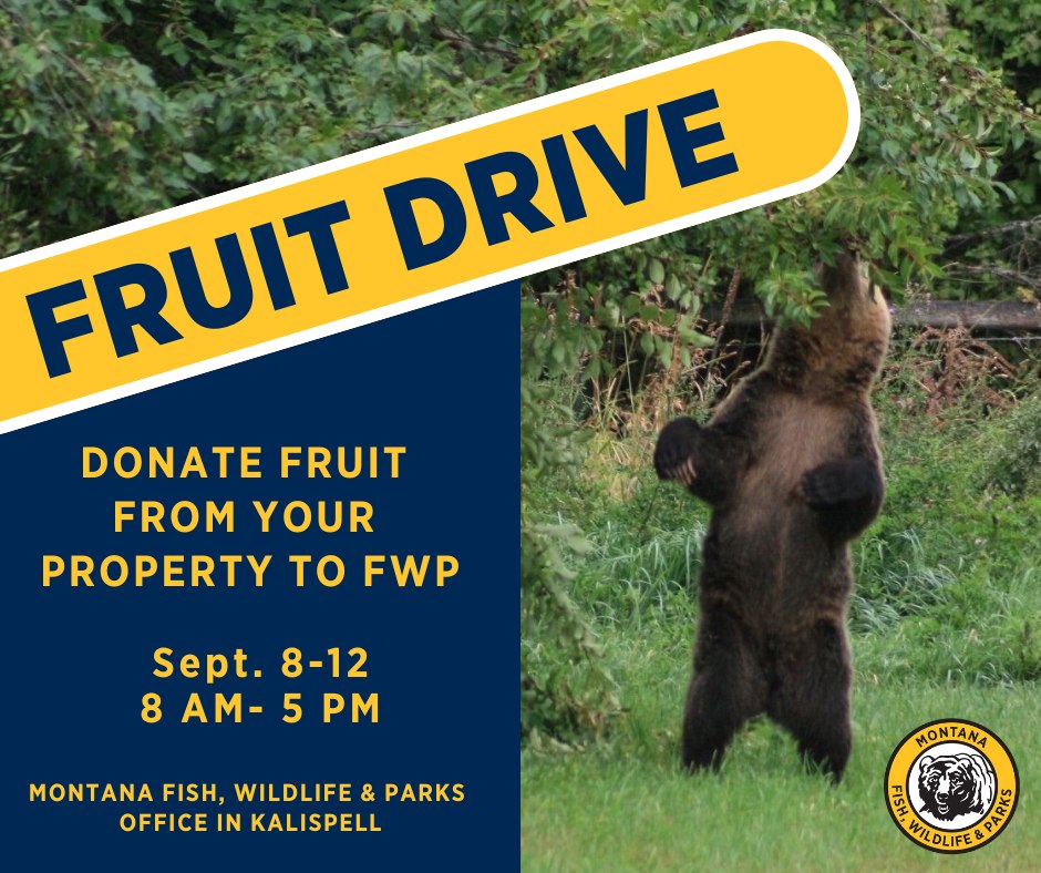 Fruit Drive Collection at Kalispell FWP office
