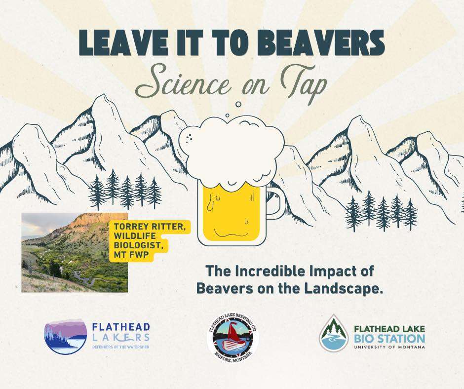 Science on Tap Leave it to Beavers at Flathead Lake Brewery