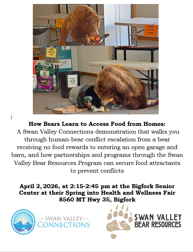 How bears access food from homes Discussion at Bigfork Senior Center
