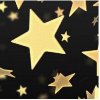 Benefit Revue at Bigfork Center for Performing Arts