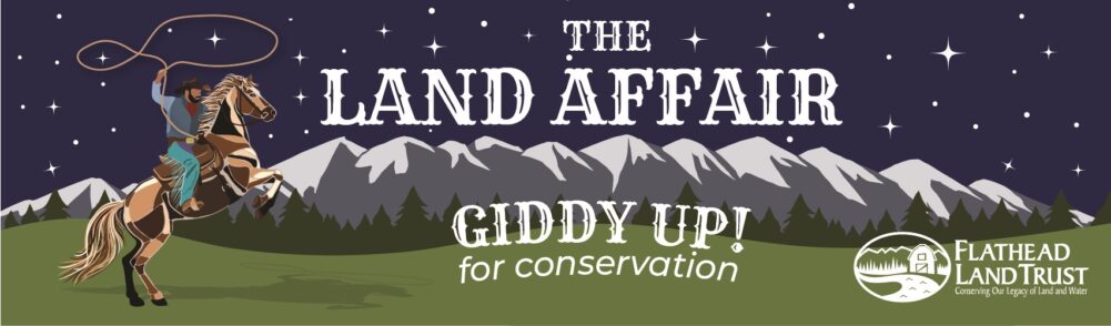 the land affair at wrangler springs ranch