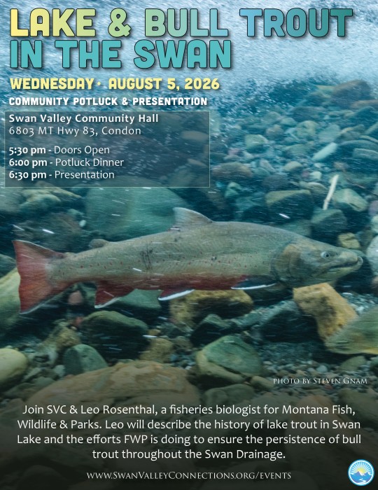 lake and bull trout in the swan potluck and presentation event