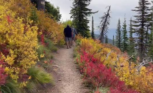 Hikers on a fall trail in Jewel Basin near Bigfork, Montana