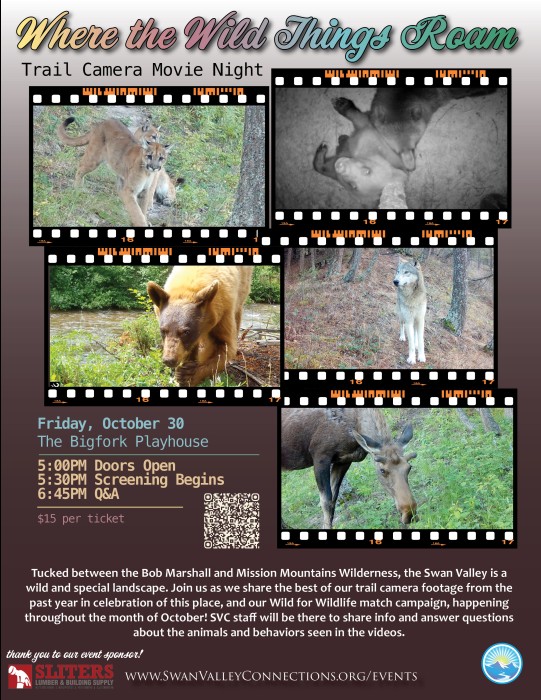 trail camera movie night