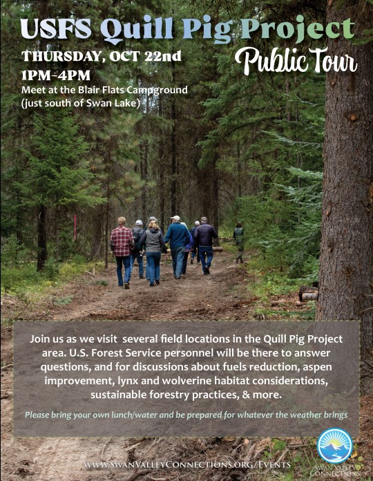 usfs quill pig project